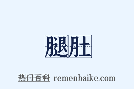 腿肚是什么意思的图片